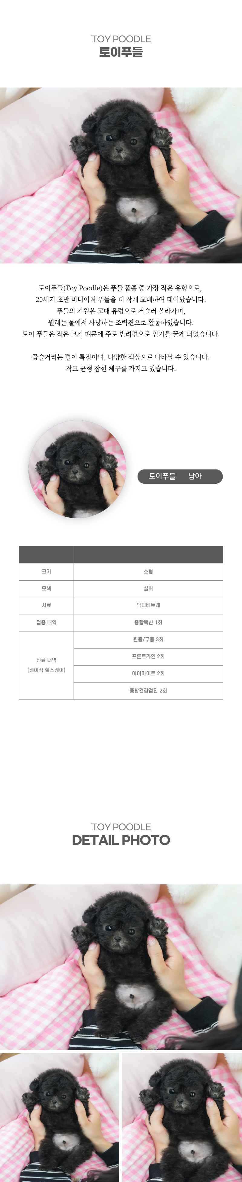 토이푸들_상세이미지_2